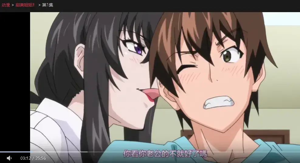 《甜美姐姐》超清完整版：治愈系日常番《甜美姐姐》无删减全集在线观看，高清资源百度网盘下载